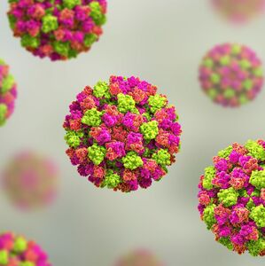 El norovirus es altamente contagioso y provoca vómitos y diarrea (Getty Images)