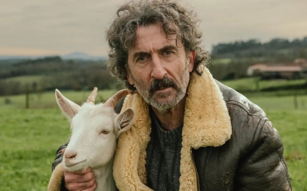 "Animal" en Netflix: ¿Habrá segunda temporada de la serie española? (Foto: Netflix)