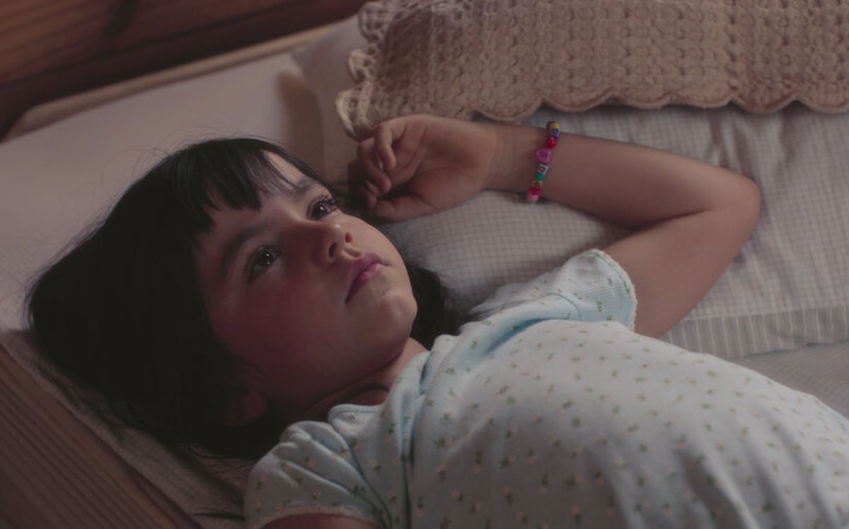 La cinta de Dominga Sotomayor para Netflix se inspira de esta novela (Netflix)