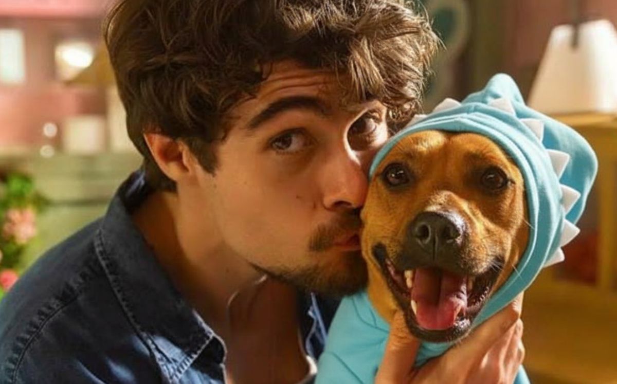 En “Caramelo”, un perro parece sentir la enfermedad de su humano. Descubre qué tan cierto es este instinto canino (Netflix)