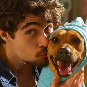 En “Caramelo”, un perro parece sentir la enfermedad de su humano. Descubre qué tan cierto es este instinto canino (Netflix)
