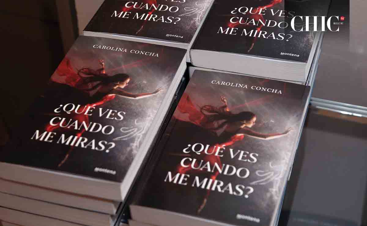 Obra titulada ¿Qué ves cuando me miras? de la autora Carolina Concha / Fotos: Roberto Alvarado