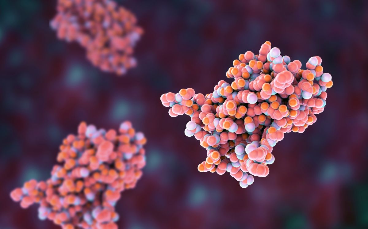 Menopausia agresiva y las hormonas (Getty Images)