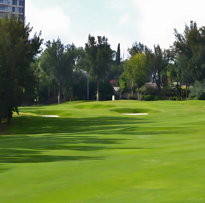El green es el nuevo boardroom en Guanajuato. (Cortesía)