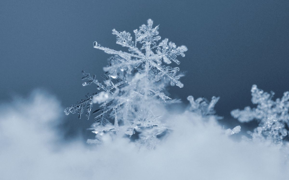 El frente frío 13 provocará bajas temperaturas, lluvias intensas y rachas de viento en el norte, centro y oriente del país (Freepik)