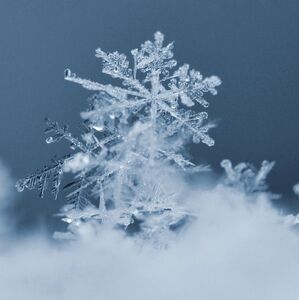 El frente frío 13 provocará bajas temperaturas, lluvias intensas y rachas de viento en el norte, centro y oriente del país (Freepik)