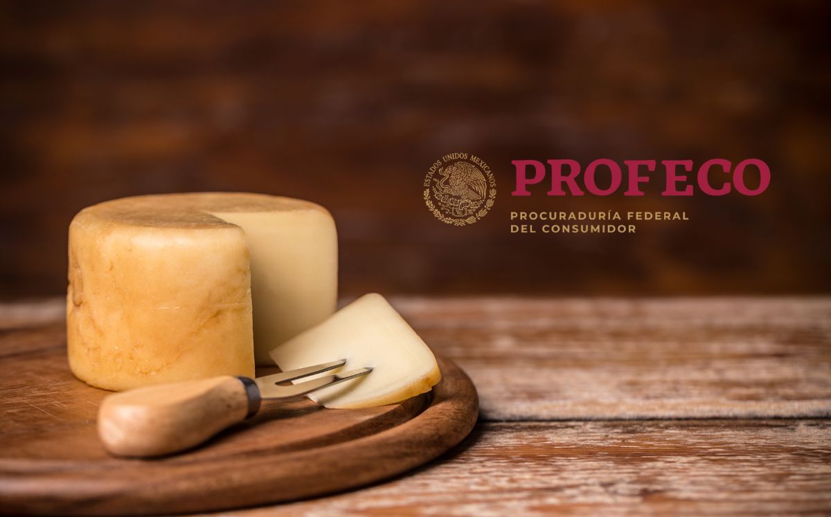 Estas son las marcas de queso manchego que no recomienda la Profeco (Foto: Freepik)
