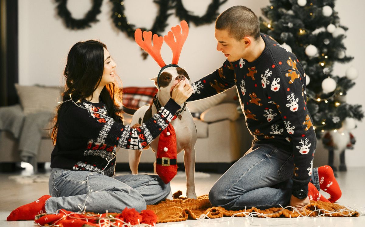 Acvitidades navideñas que puedes hacer con tu perro en CDMX (Foto: Freepik)