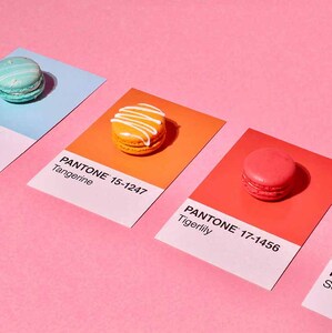 Estos colores marcarán la moda, el diseño y el interiorismo. (Foto: Pexels)