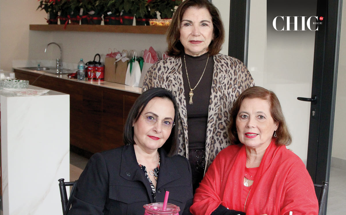 Laura Villarreal, Tetis de Willis y Alicia Lozano