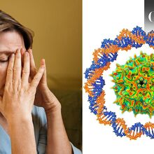 Conoce los síntomas que presenta una persona con parvovirus humano (Getty Images)