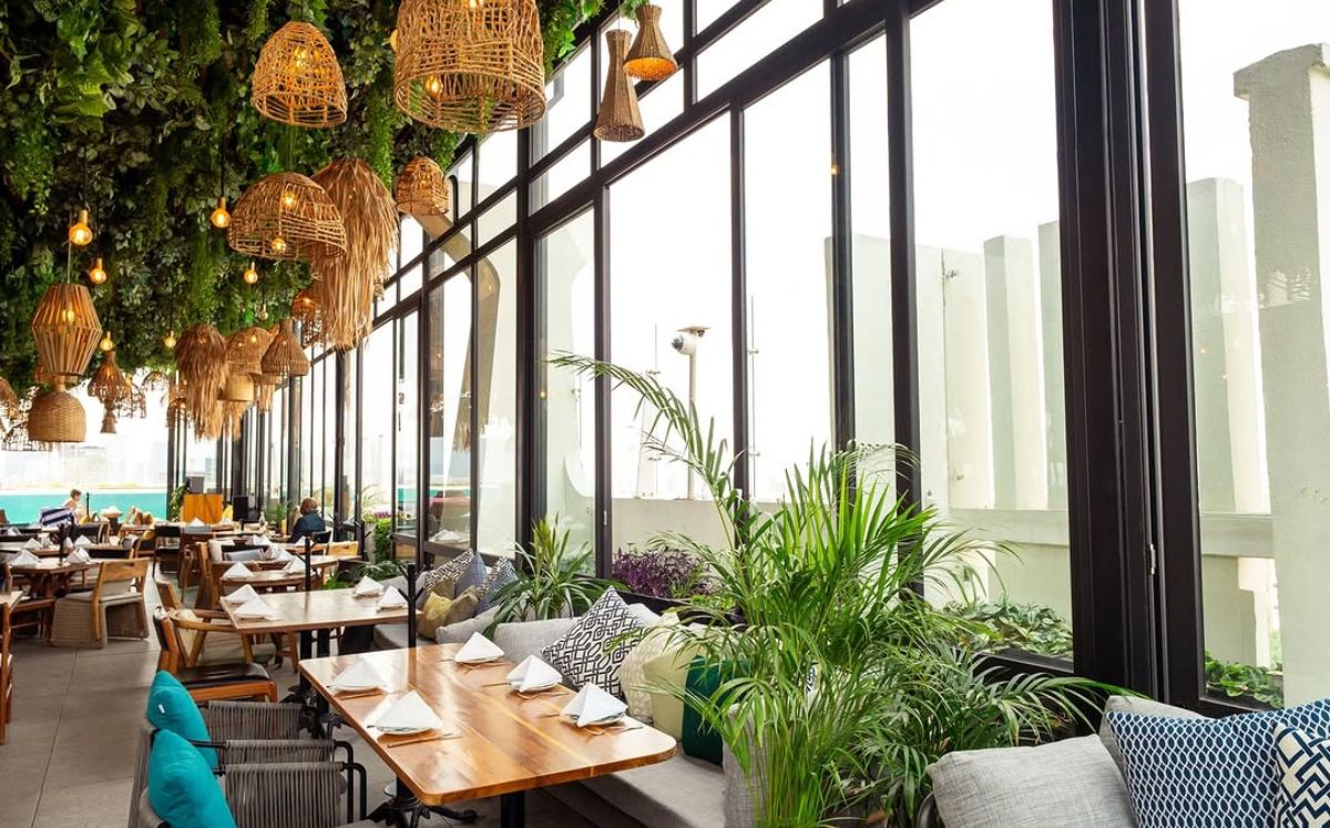 Cabuya Rooftop se perfila como el lugar imperdible de la Condesa para iniciar el 2026 con buena comida, cócteles y una vista inolvidable (Instagram)