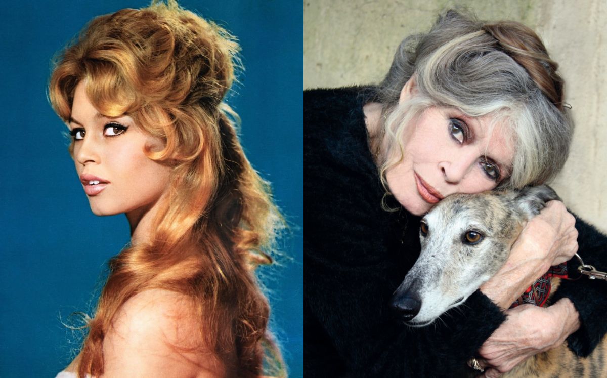 ¿De qué murió Brigitte Bardot? Esto es lo que sabemos (Foto: Instagram)
