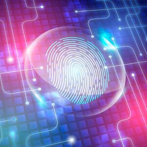 ¿Ya la tienes? Estos son los trámites que solicitarán tu CURP biométrica en 2026 (Foto: Freepik)