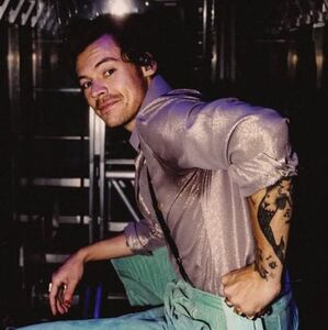 ¿Harry Styles no tendrá gira en 2026? Reportan residencia exclusiva (Foto: Instagram)