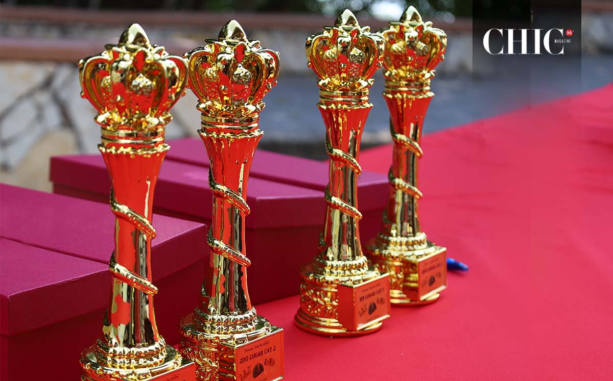 Trofeos del evento