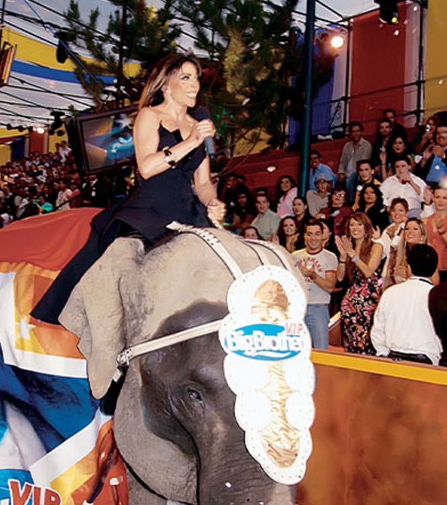 Entrada de Verónica Castro en elefante (Televisa)