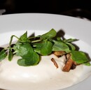 Feral en la Condesa, el restaurante de cocina de autor