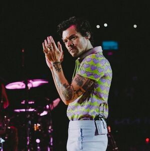 ¿Gira de Harry Styles en 2026? Así puedes registrarte para saberlo (Foto: IG)