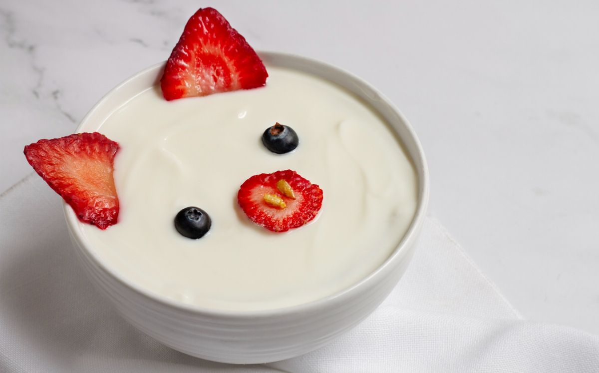 Estos son los tipos de yogur que no son recomendables, según Profeco (Foto: Freepik)