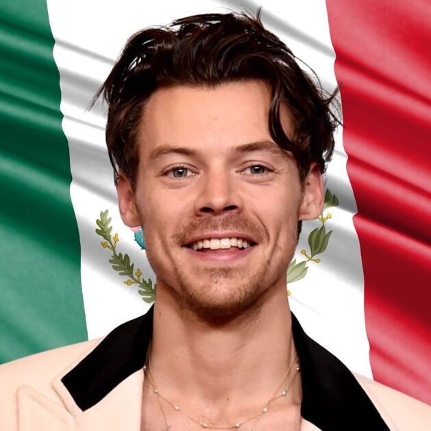Harry Styles en Mexico: Precios oficiales de sus conciertos en 2026 (Foto: Instagram)