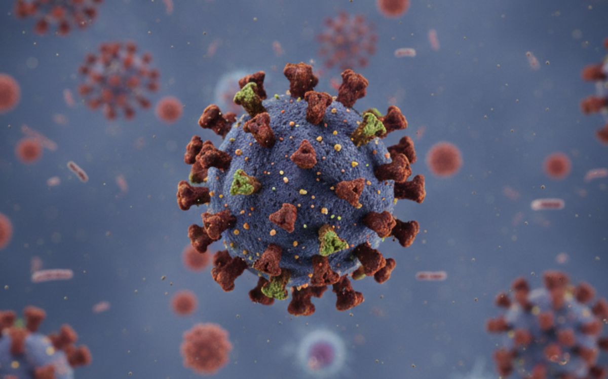 La OMS evalúa como bajo el riesgo, pero India refuerza hospitales tras dos casos de Nipah (Instagram)