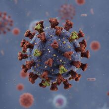 La OMS evalúa como bajo el riesgo, pero India refuerza hospitales tras dos casos de Nipah (Instagram)