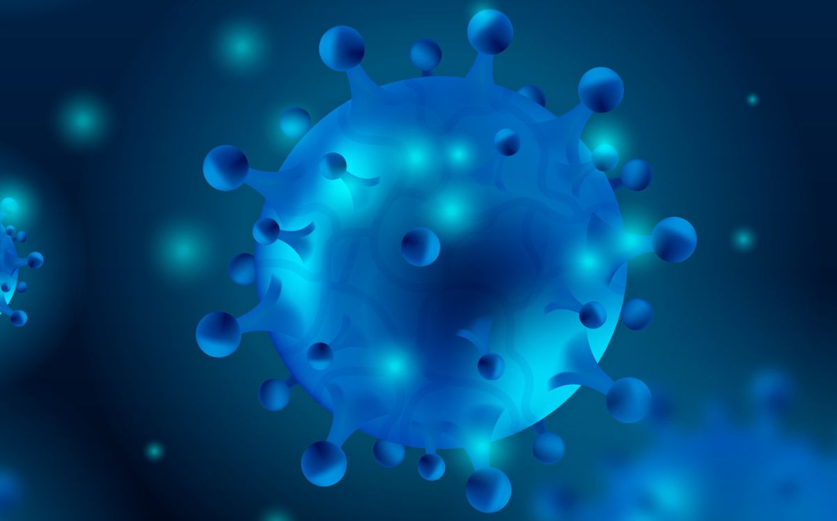 El virus Nipah preocupa al mundo por su alta mortalidad (Freepik)