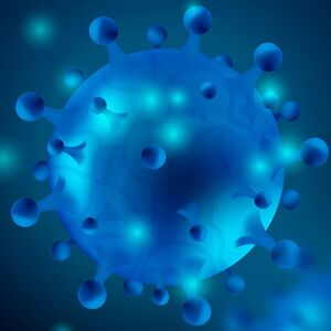 El virus Nipah preocupa al mundo por su alta mortalidad (Freepik)