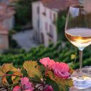 La Champagne en Francia: ¿Dónde está y cuánto cuesta ir desde México? (Foto: Freepik)