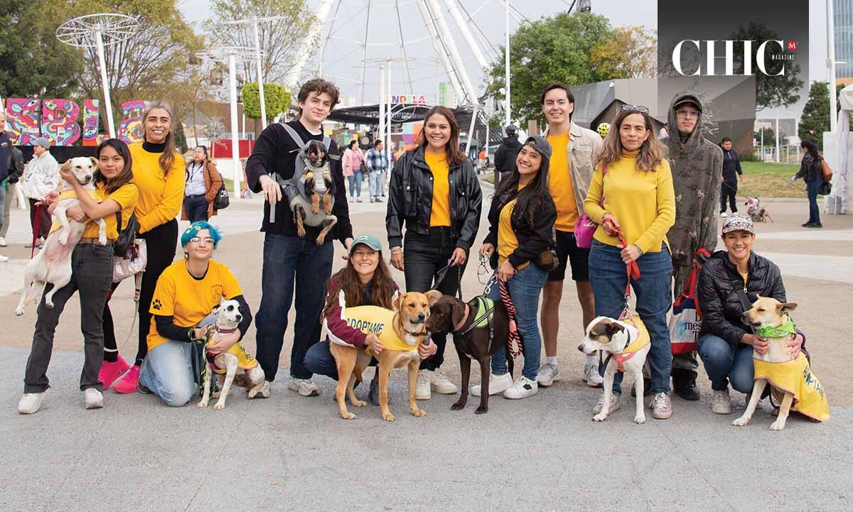 Super Adoptable Oficial