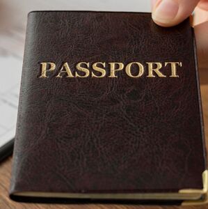 Detectan sitio falso que suplanta a la SRE para tramitar el pasaporte y realiza cobros fraudulentos (Freepik)