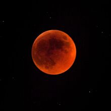 Eclipse lunar de marzo 2026: A qué hora ver la luna de sangre en México (Foto: Getty)
