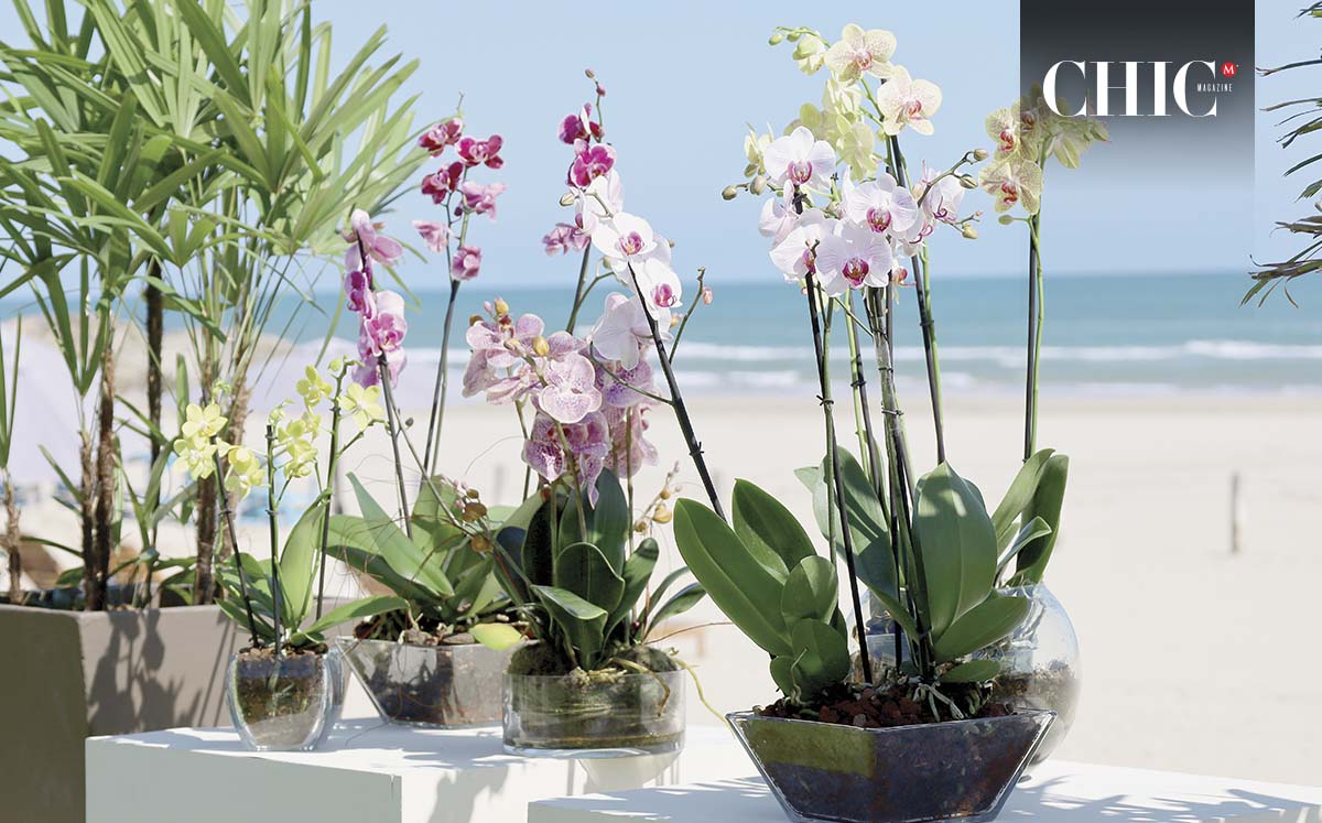 Las orquídeas no pudieron faltar como decoración del evento