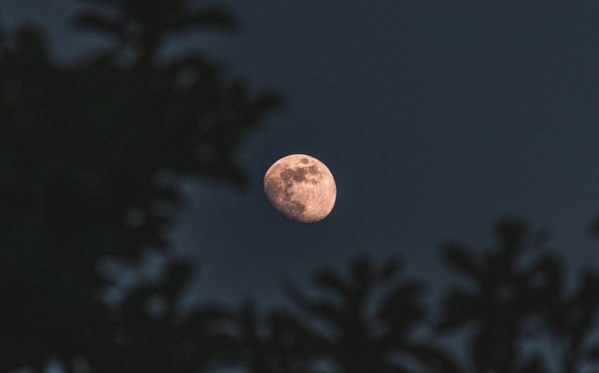 ¿Cuándo es el próximo eclipse en México? Esta es la fecha (Foto: Freepik)