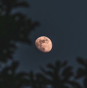 ¿Cuándo es el próximo eclipse en México? Esta es la fecha (Foto: Freepik)