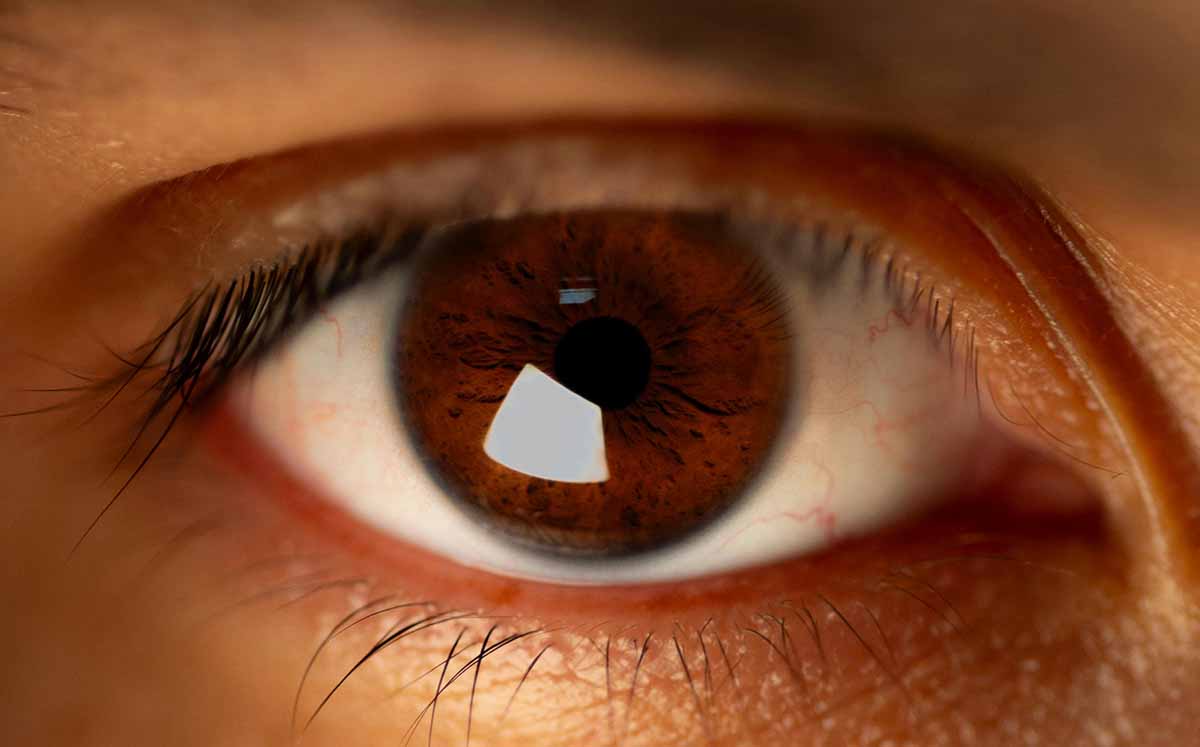 La CURP biométrica busca facilitar los procesos administrativos, disminuir la solicitud de documentos adicionales y fortalecer la validación de identi