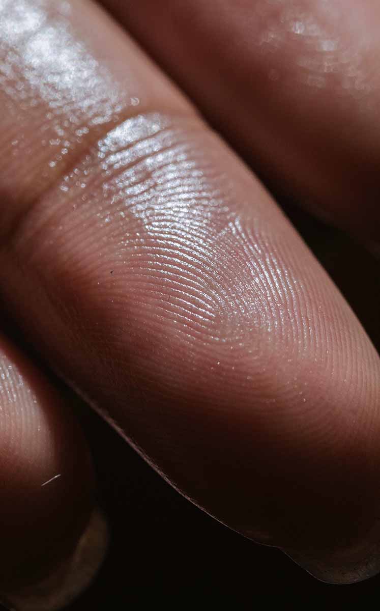 La CURP biométrica tendrá carácter obligatorio como identificación oficial cuando incorpore fotografía y huellas. (Foto: Pexels)