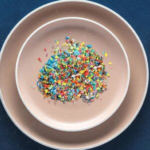 "Détox de Plásticos": ¿El plástico afecta la fertilidad? (Foto: Netflix)