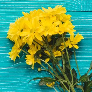 Regalar flores amarillas en marzo: ¿Cuándo y por qué hacerlo? (Foto: Freepik)