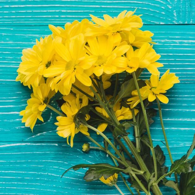 Regalar flores amarillas en marzo: ¿Cuándo y por qué hacerlo? (Foto: Freepik)