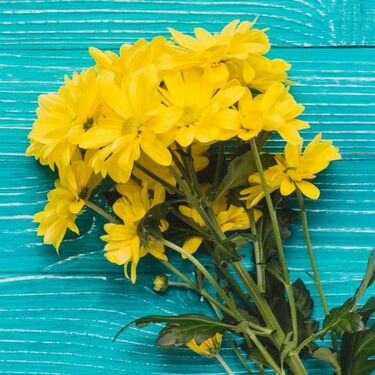 Regalar flores amarillas en marzo: ¿Cuándo y por qué hacerlo? (Foto: Freepik)