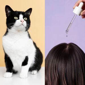 Este medicamento, común contra la caída del cabello, puede ser tóxico para perros y gatos (Freepik)