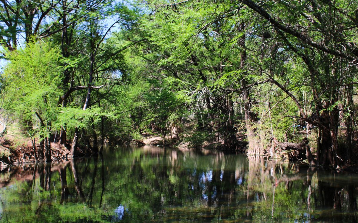 El Área Natural Protegida Las Musas (Foto: Archivo Chic)
