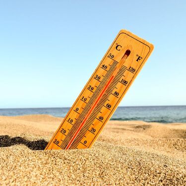 Canícula 2026: Cuándo empieza en México y qué estados serán afectados (Foto: Freepik)