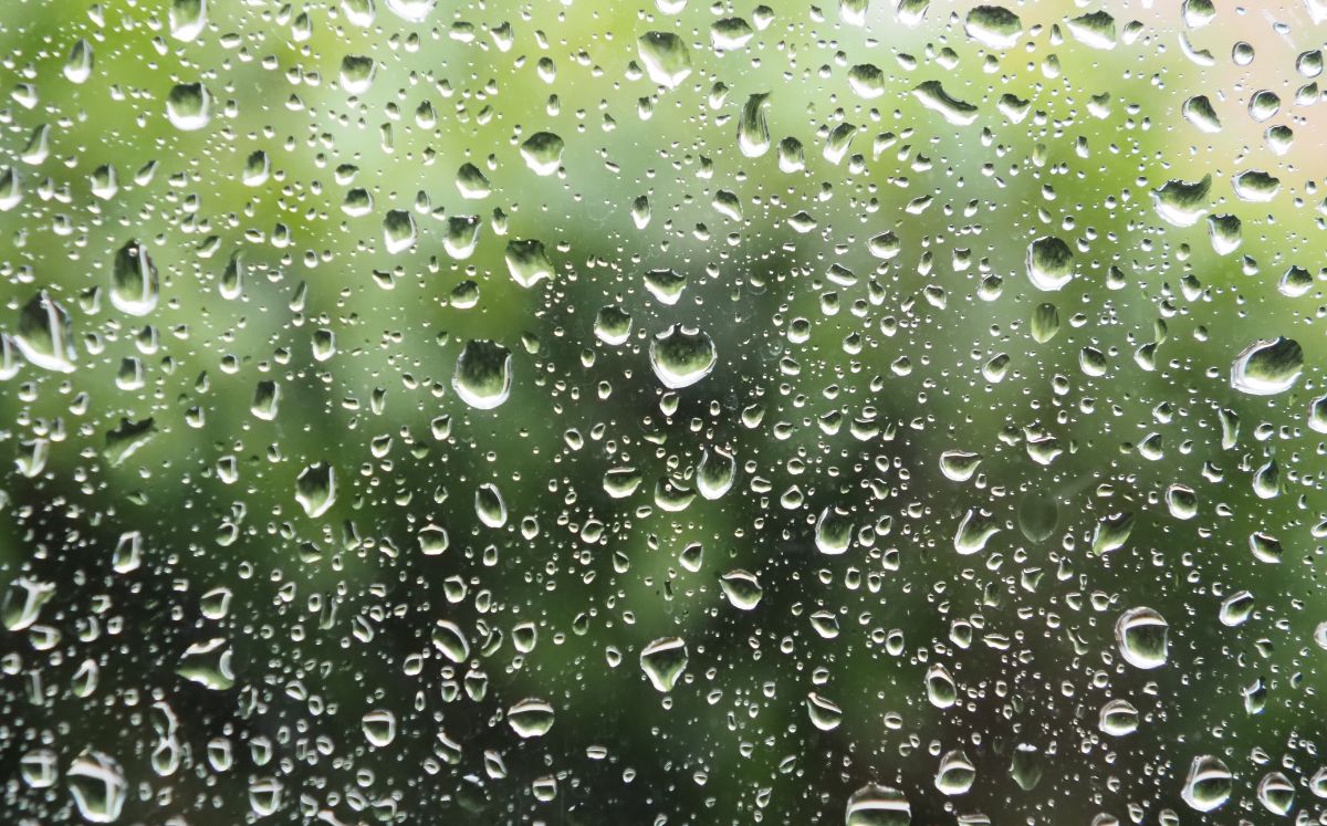 Conagua emite alerta por lluvias, granizo y fuertes rachas de viento en varias regiones de México (Freepik)