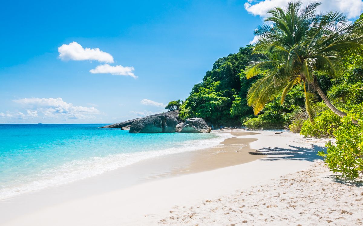 Autoridades revelan el estado de playas del Golfo tras derrame de petróleo antes de Semana Santa 2026 (Freepik)