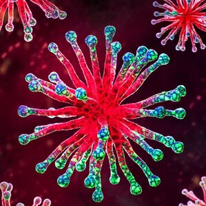 BA.3.2, la variante “Cicada”, preocupa por sus mutaciones. Esto es lo que se sabe sobre síntomas y vacunas (Getty Images)