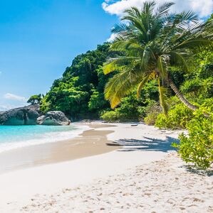 Autoridades revelan el estado de playas del Golfo tras derrame de petróleo antes de Semana Santa 2026 (Freepik)