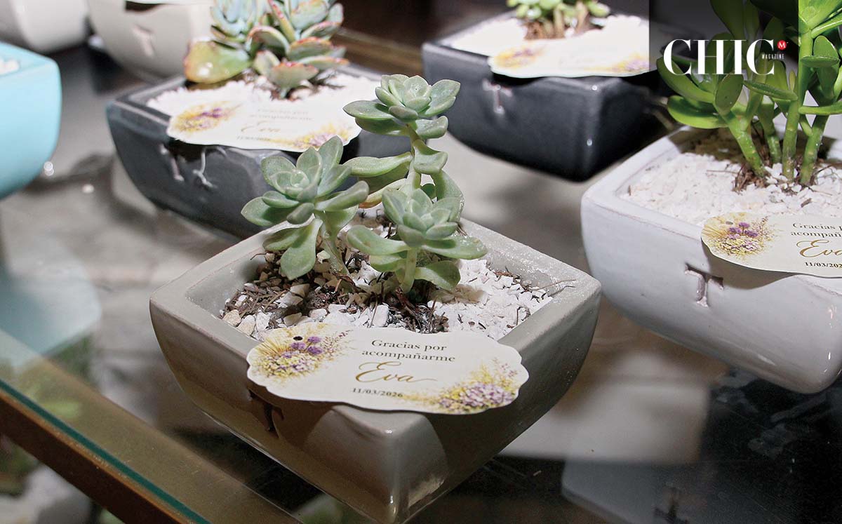 Las invitadas recibieron suculentas como agradecimiento por acompañar a Eva en su Bridal Shower